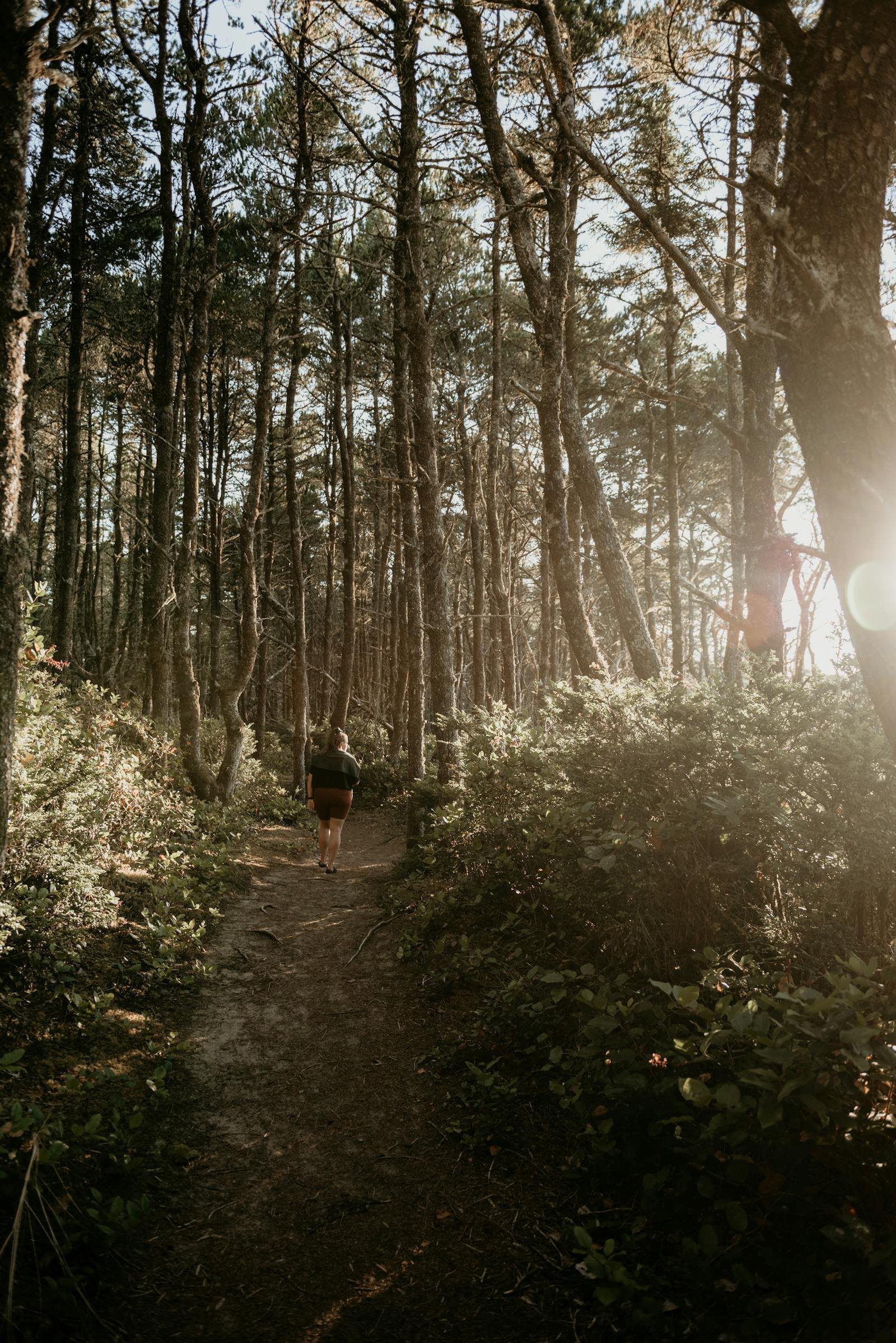 persona caminando por un sendero de bosque como metáfora de los propósitos personales