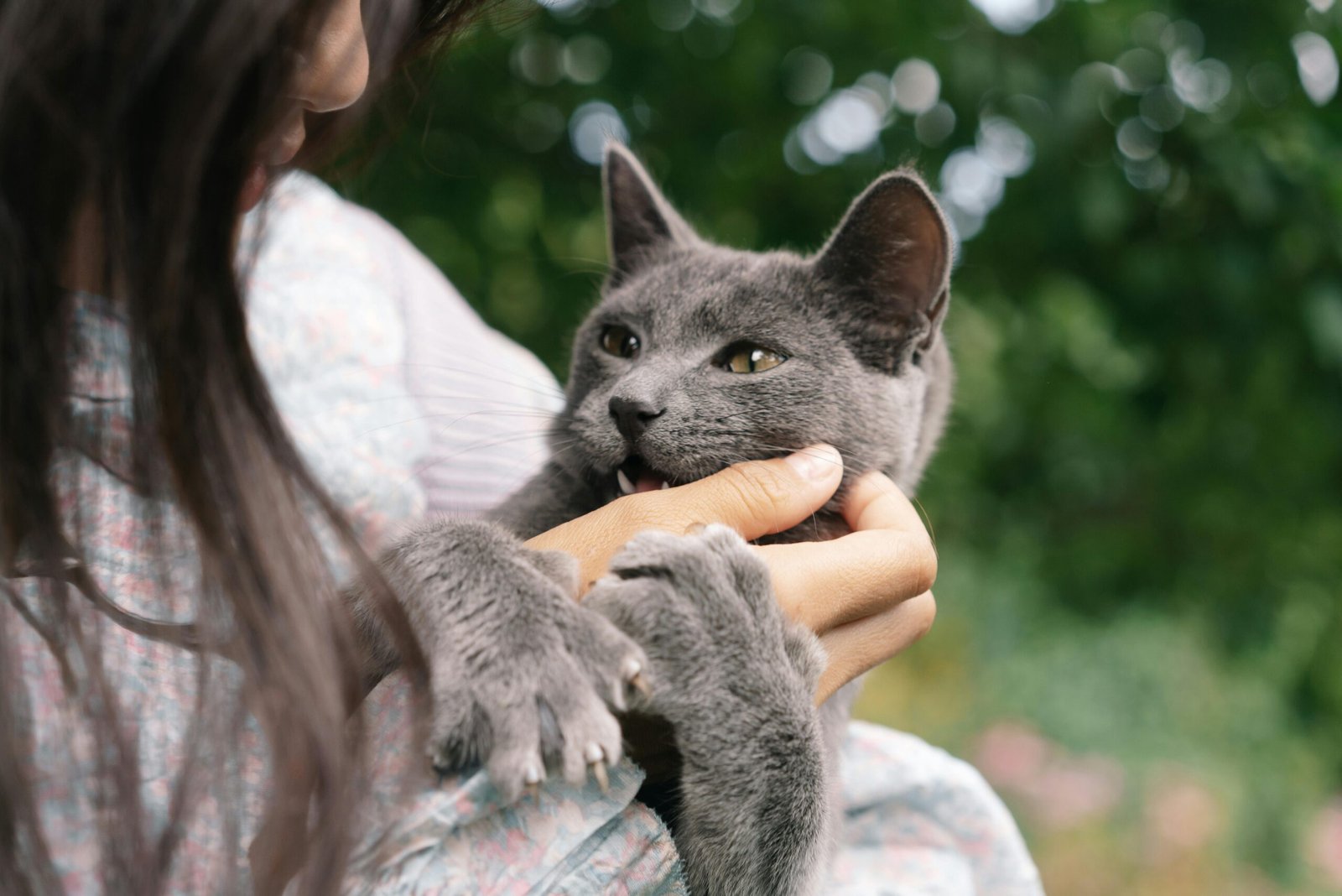 gato pagina formandopets360 Cómo mejorar el bienestar de mi perro o gato. Mujer acariciando a gato gris oscuro