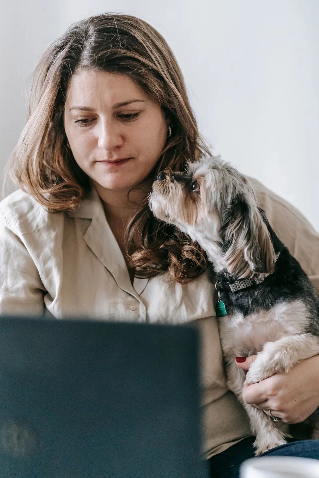 Peluquería para Perros — Master Class: opiniones antes de comprar 5 Mujer compara un curso online en el portátil mientras sostiene a su perro