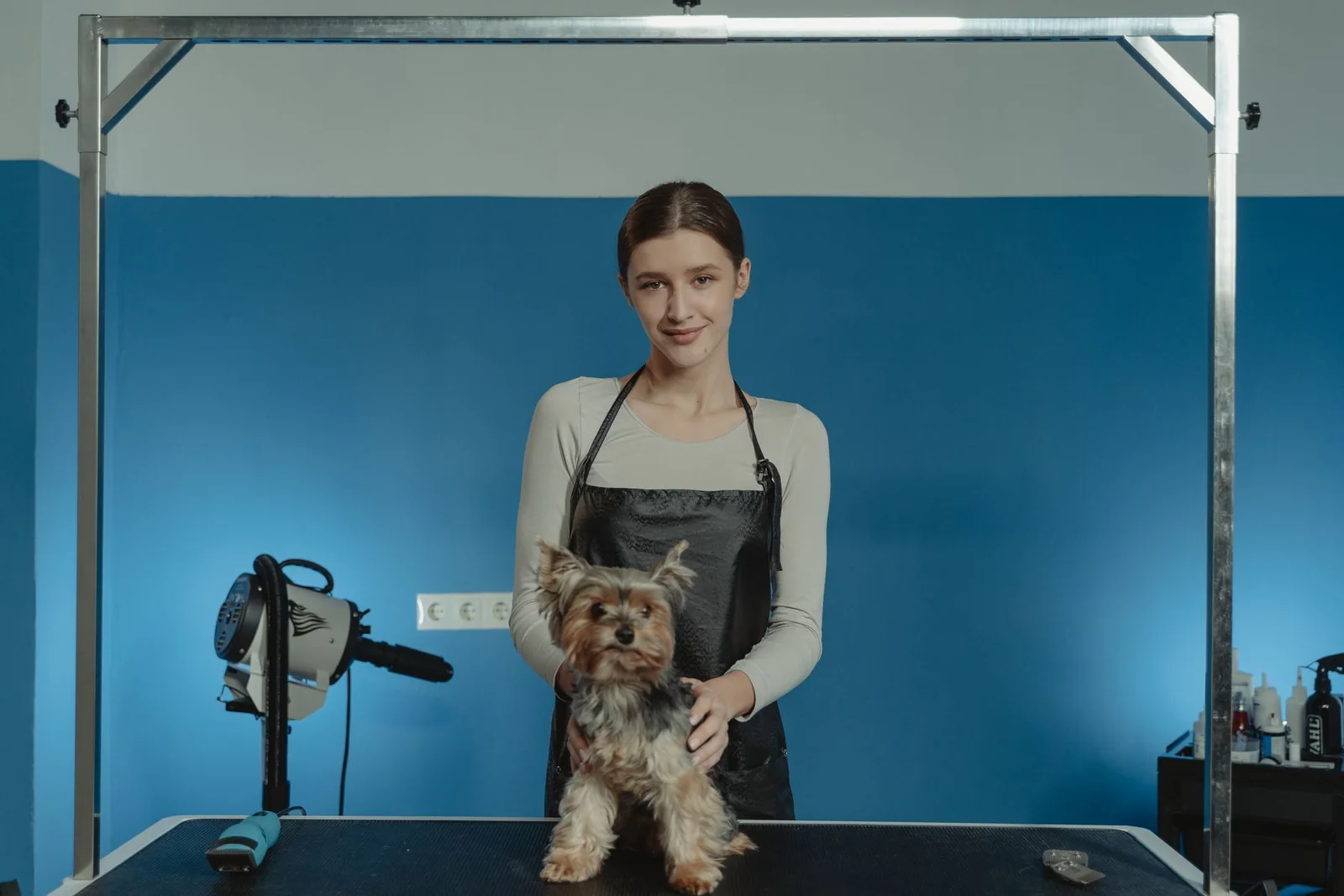 Profesional de peluquería canina junto a un perro completo
